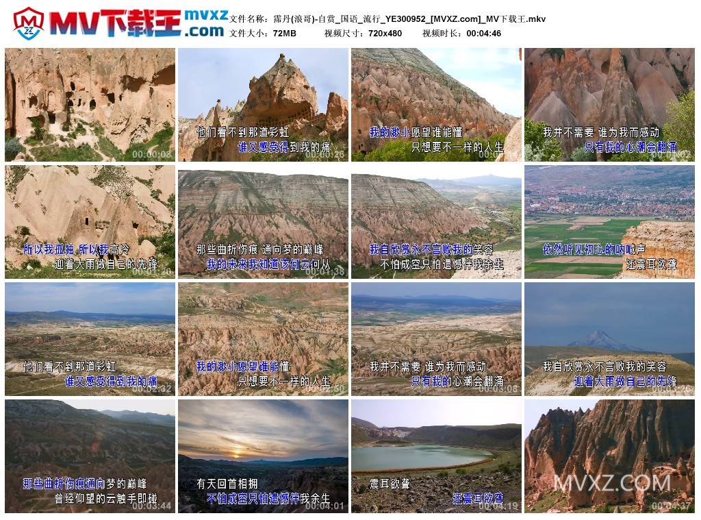 霈丹(浪哥)-自赏_国语_流行_YE300952